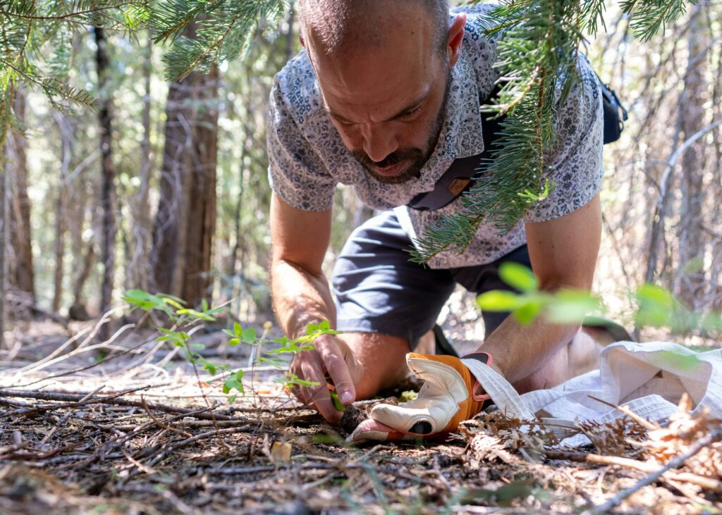 foraging x