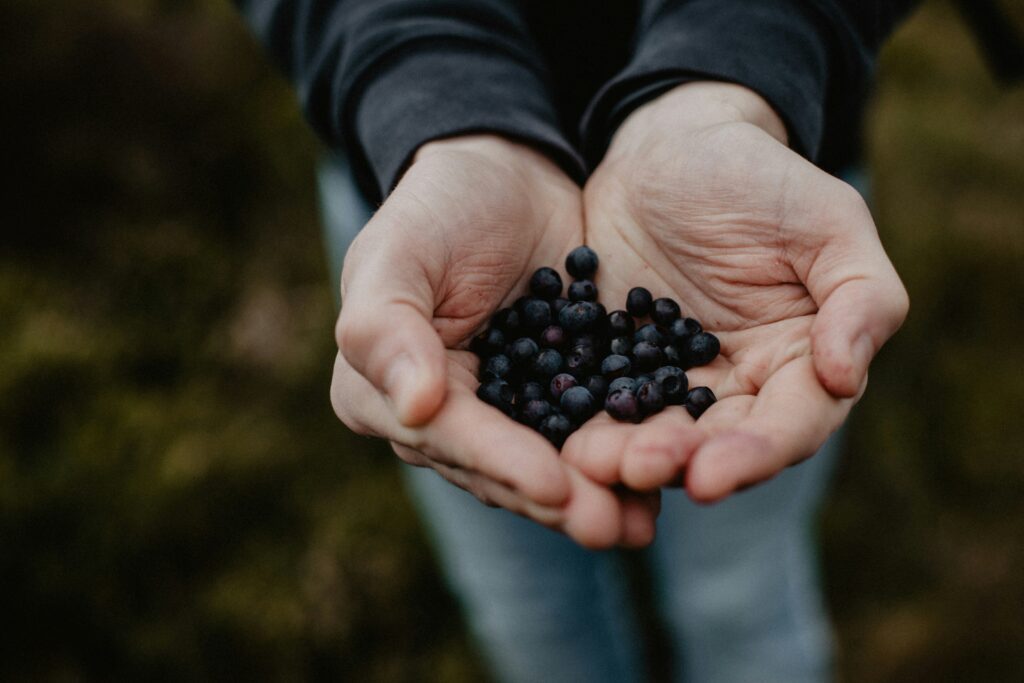 foraging x