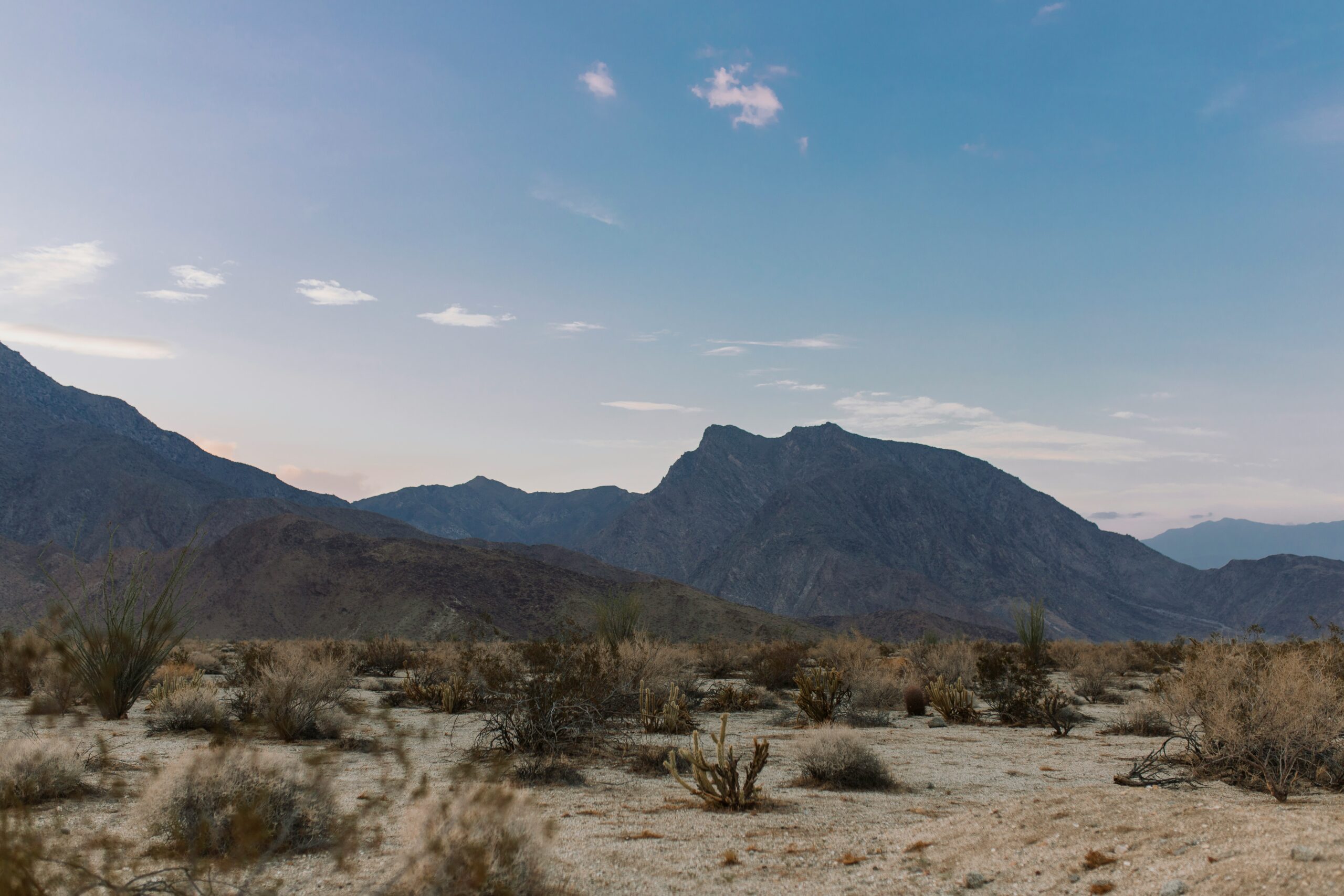 anza borrego desert state park2 scaled