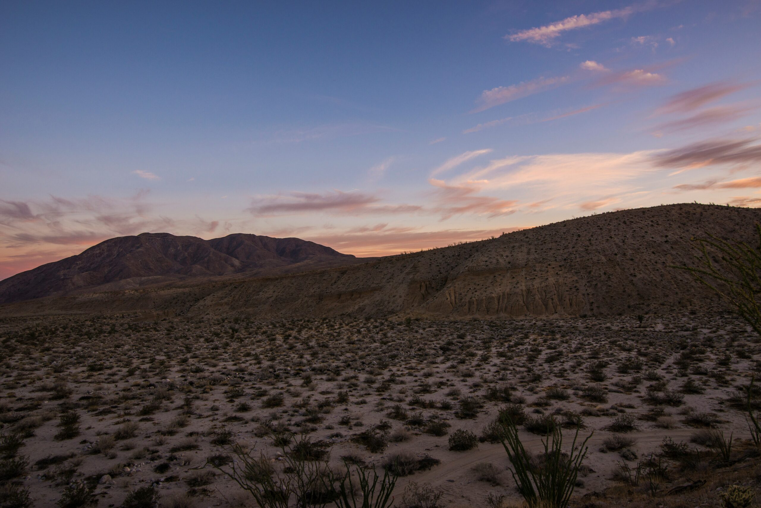 anza borrego desert state park3 scaled