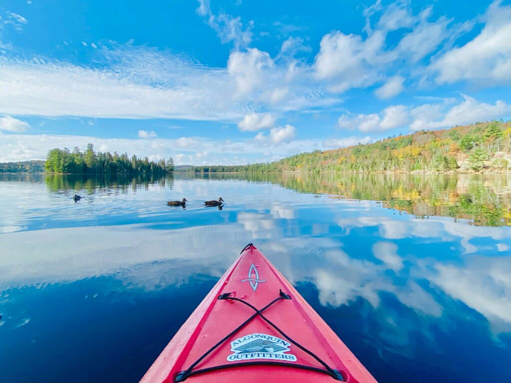 best kayaking in ontario2