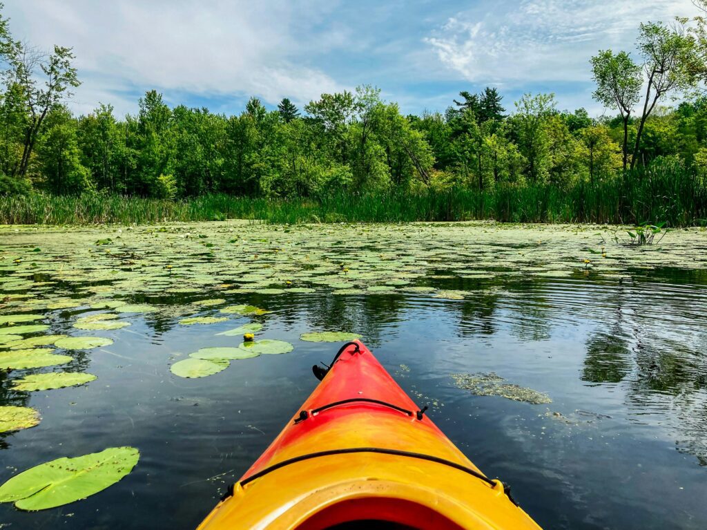 best kayaking in ontario4