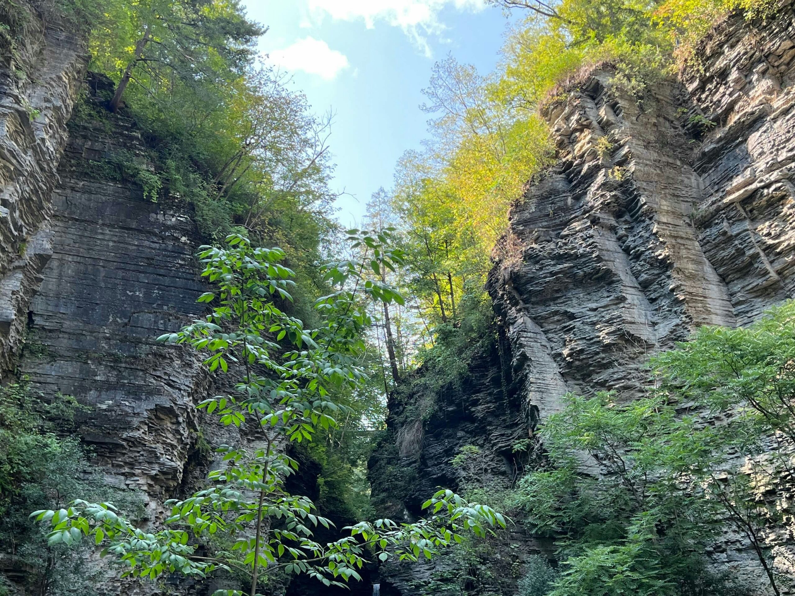 watkins glen scaled