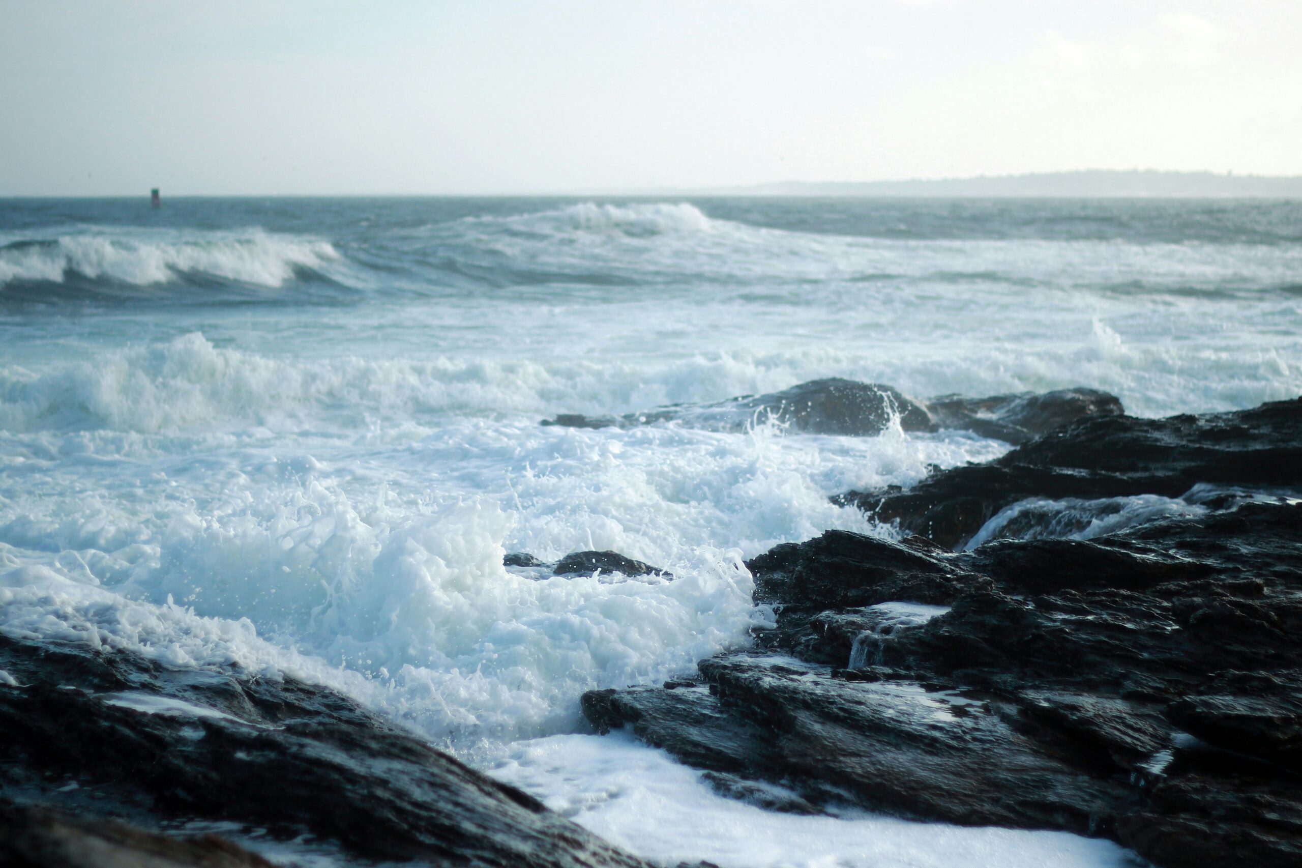 beavertail state park3 scaled