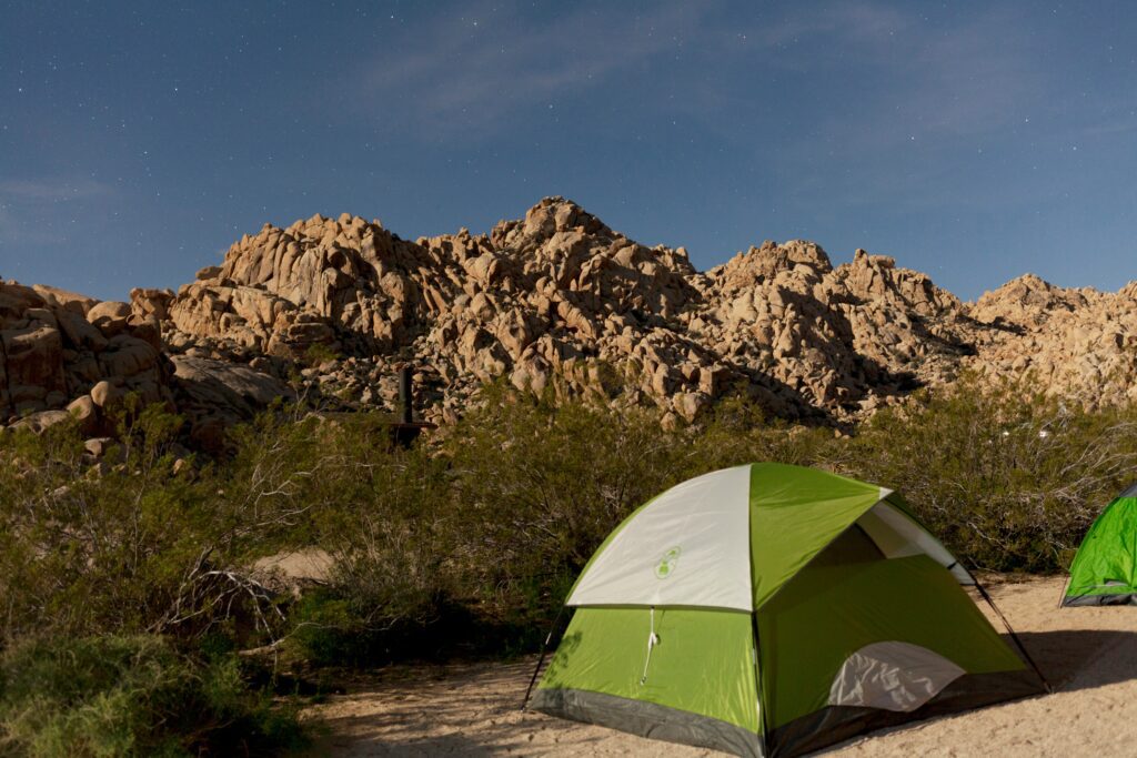 best time of year to visit joshua tree2