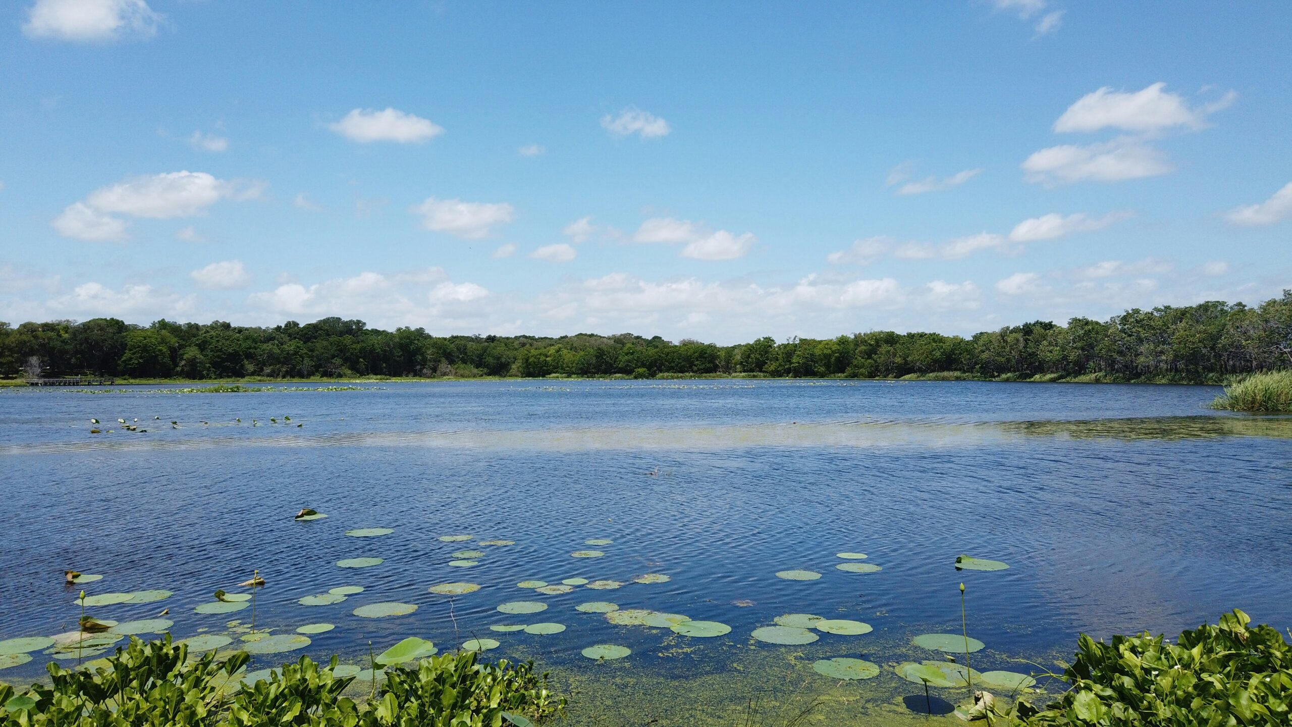 brazos bend state park scaled