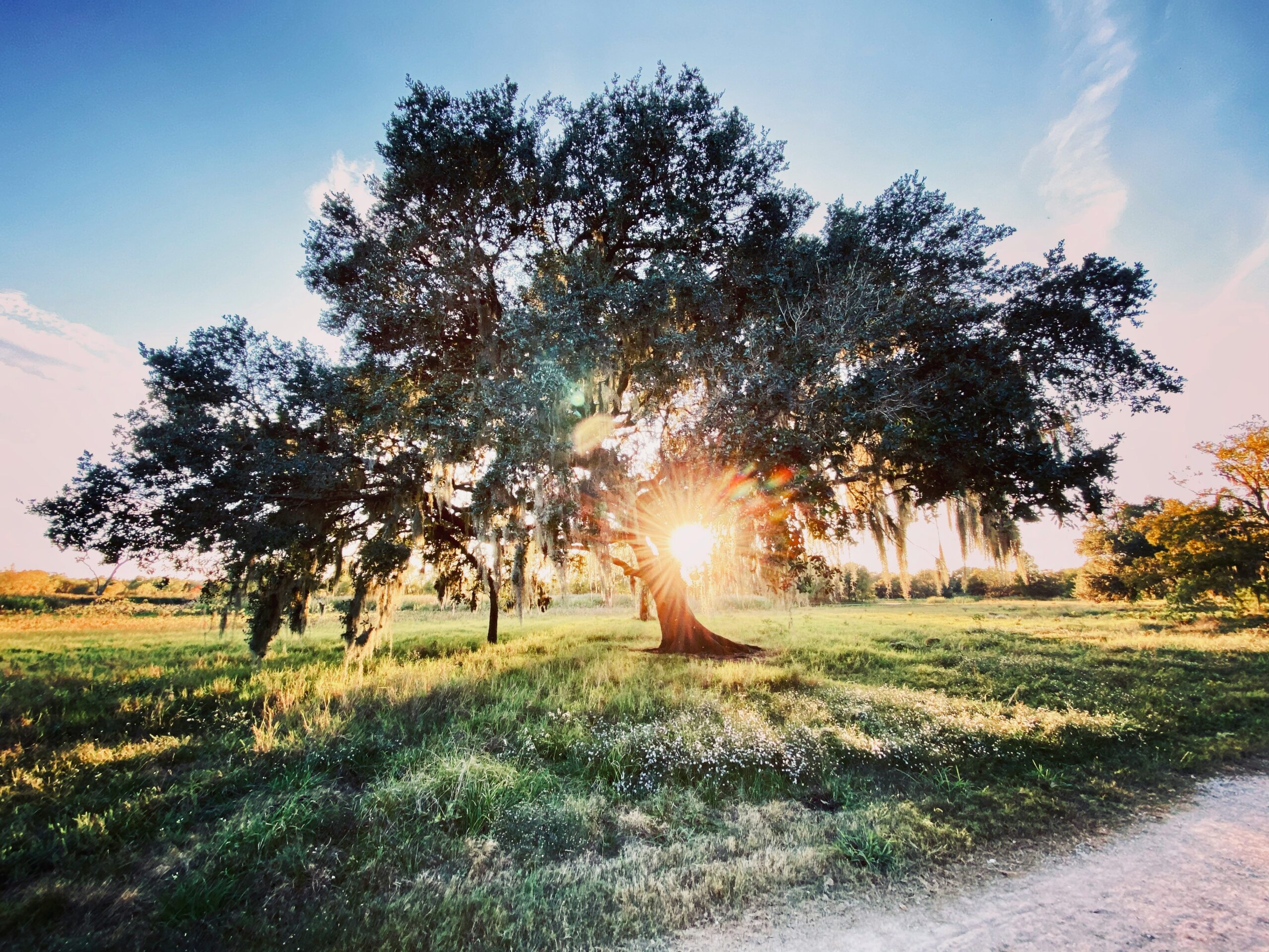 brazos bend state park2 scaled