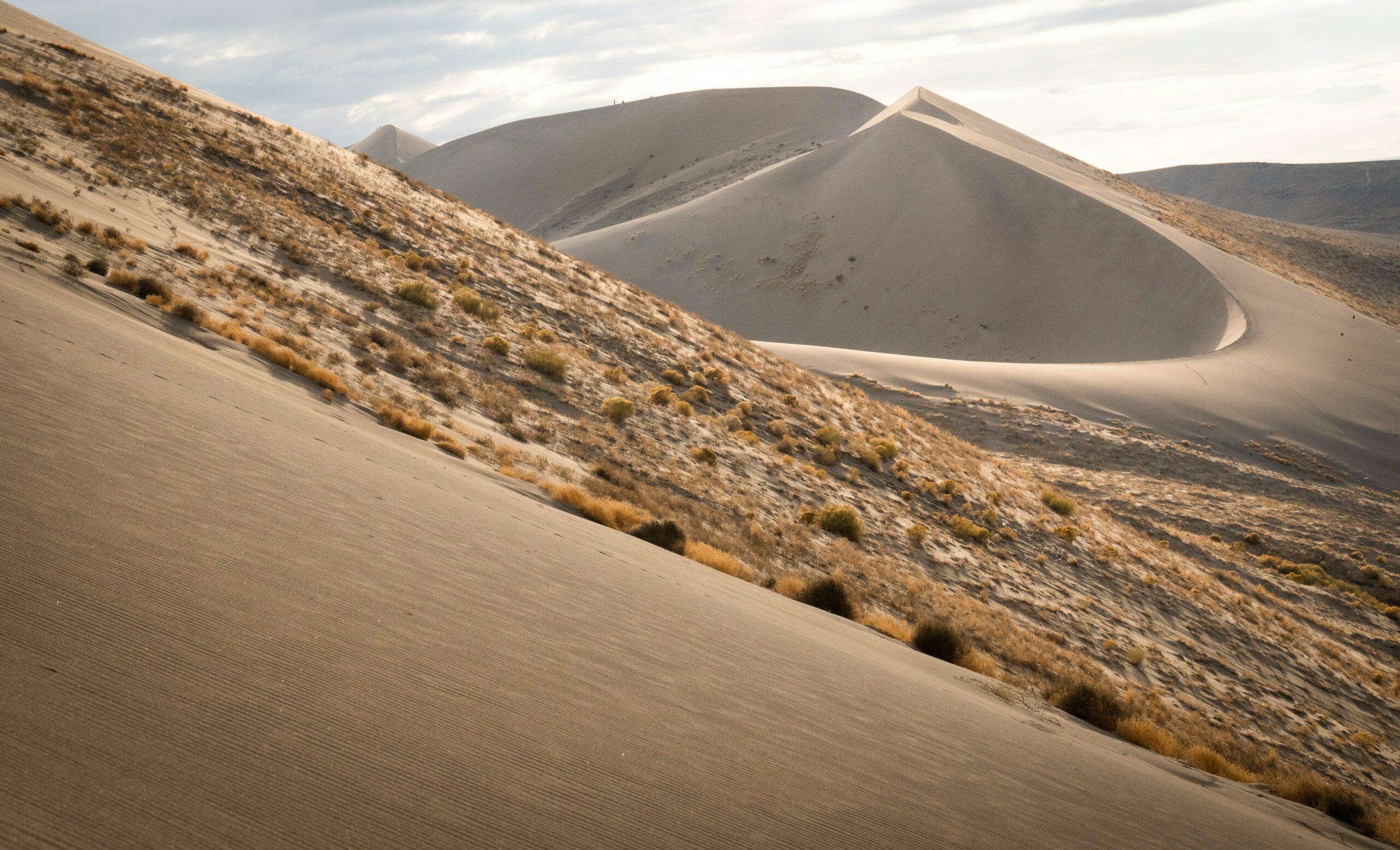 bruneau dunes state park scaled