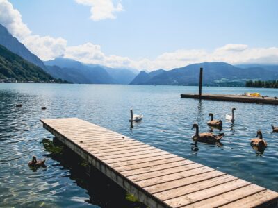 floating dock