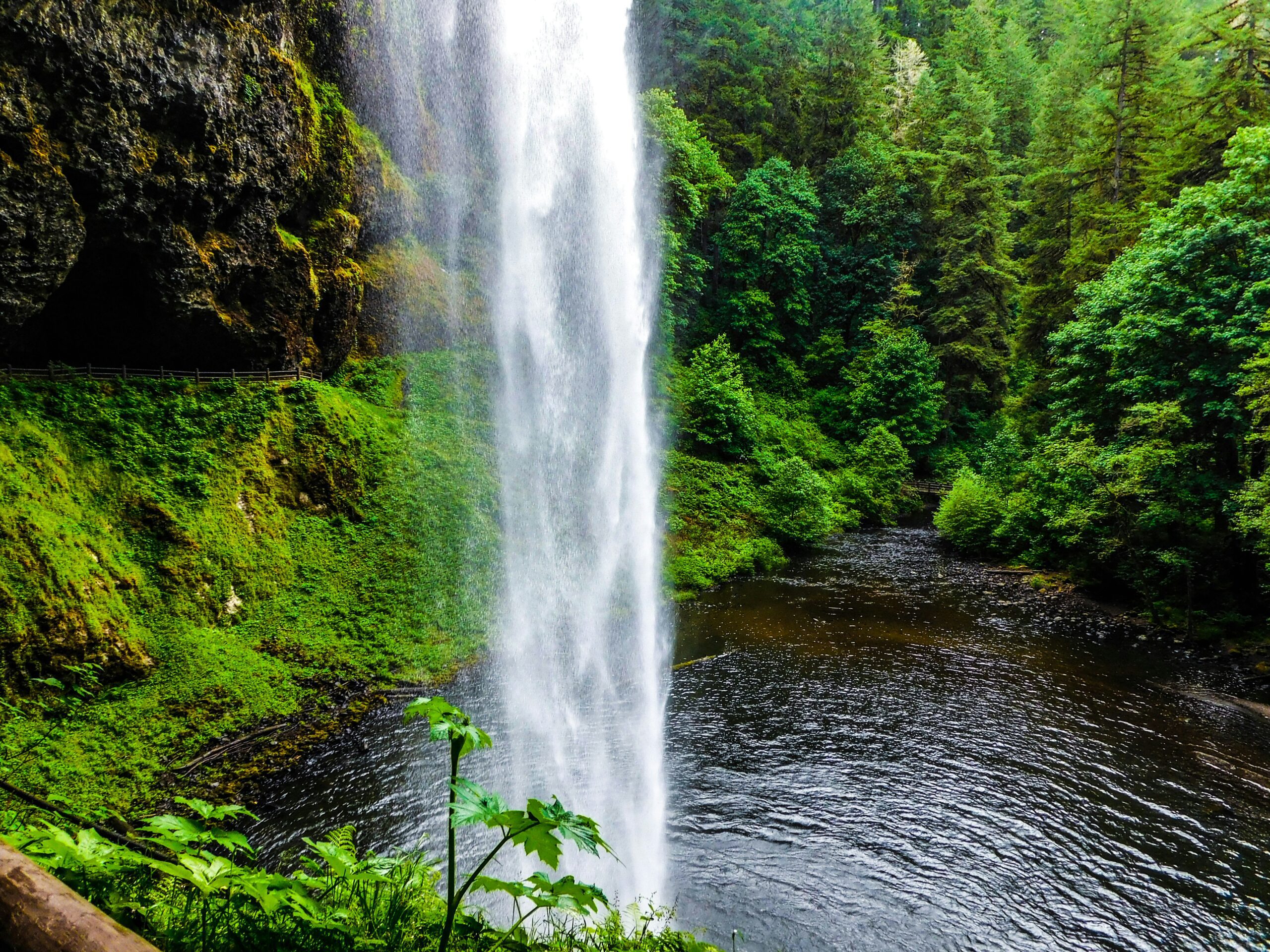 silver falls state park3 scaled