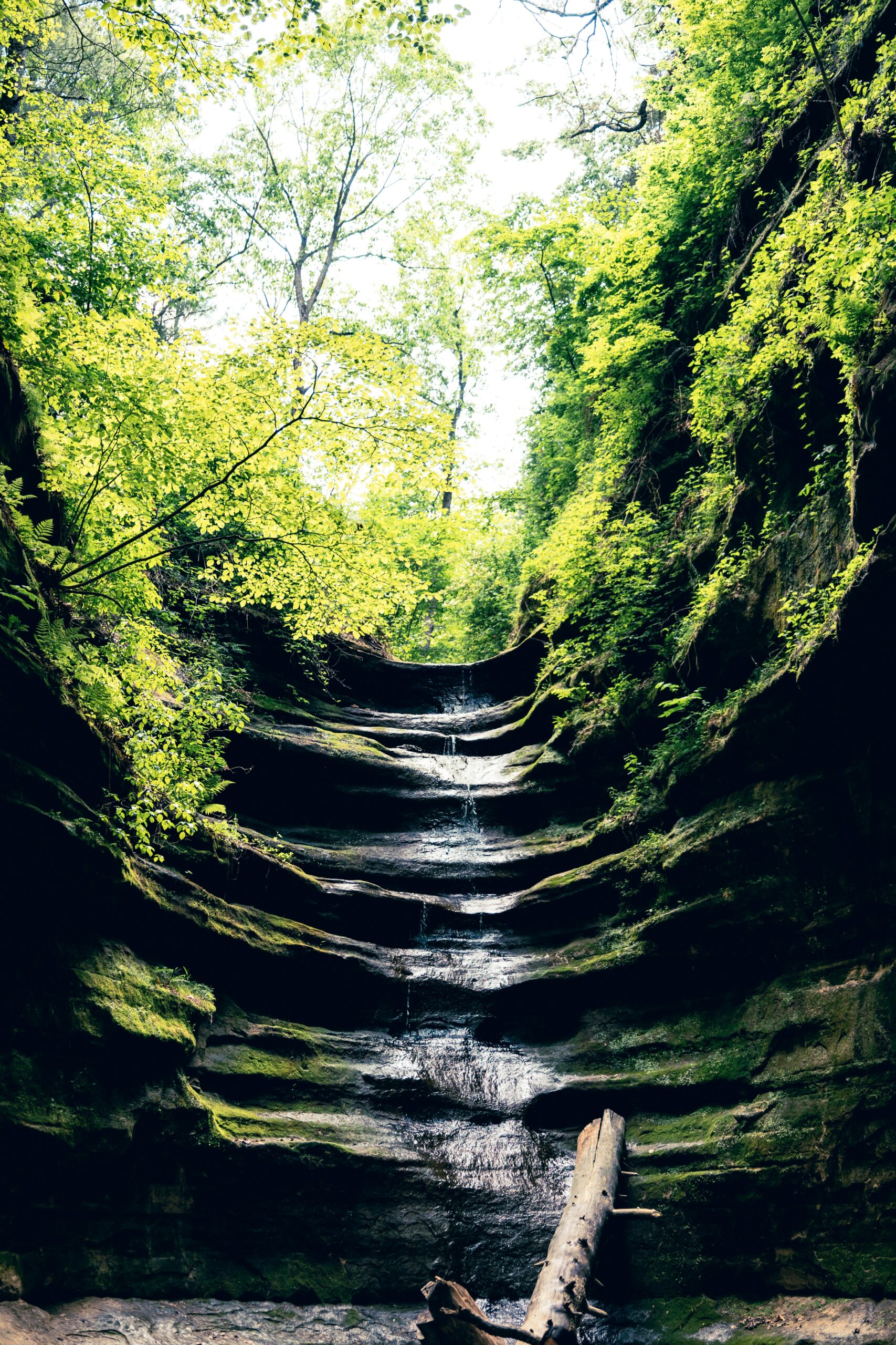 starved rock state park2 scaled