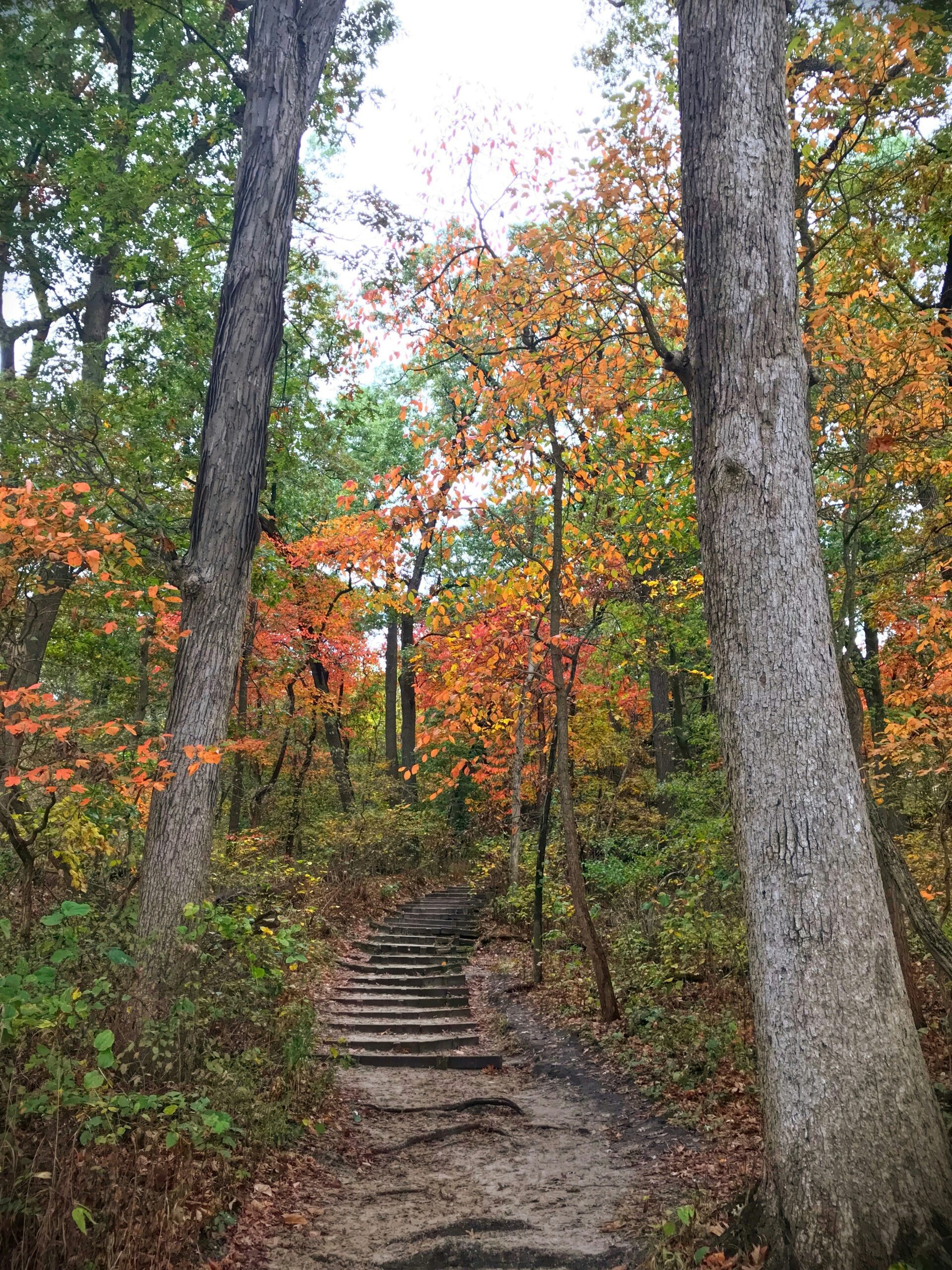 starved rock state park3 scaled