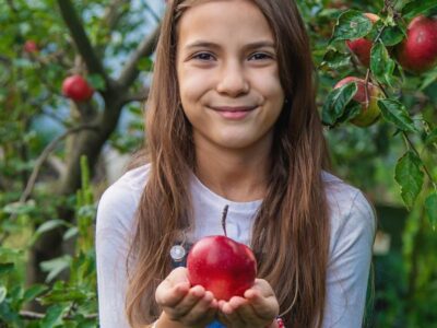 Girl holding an apple in her hands in an apple orchard.