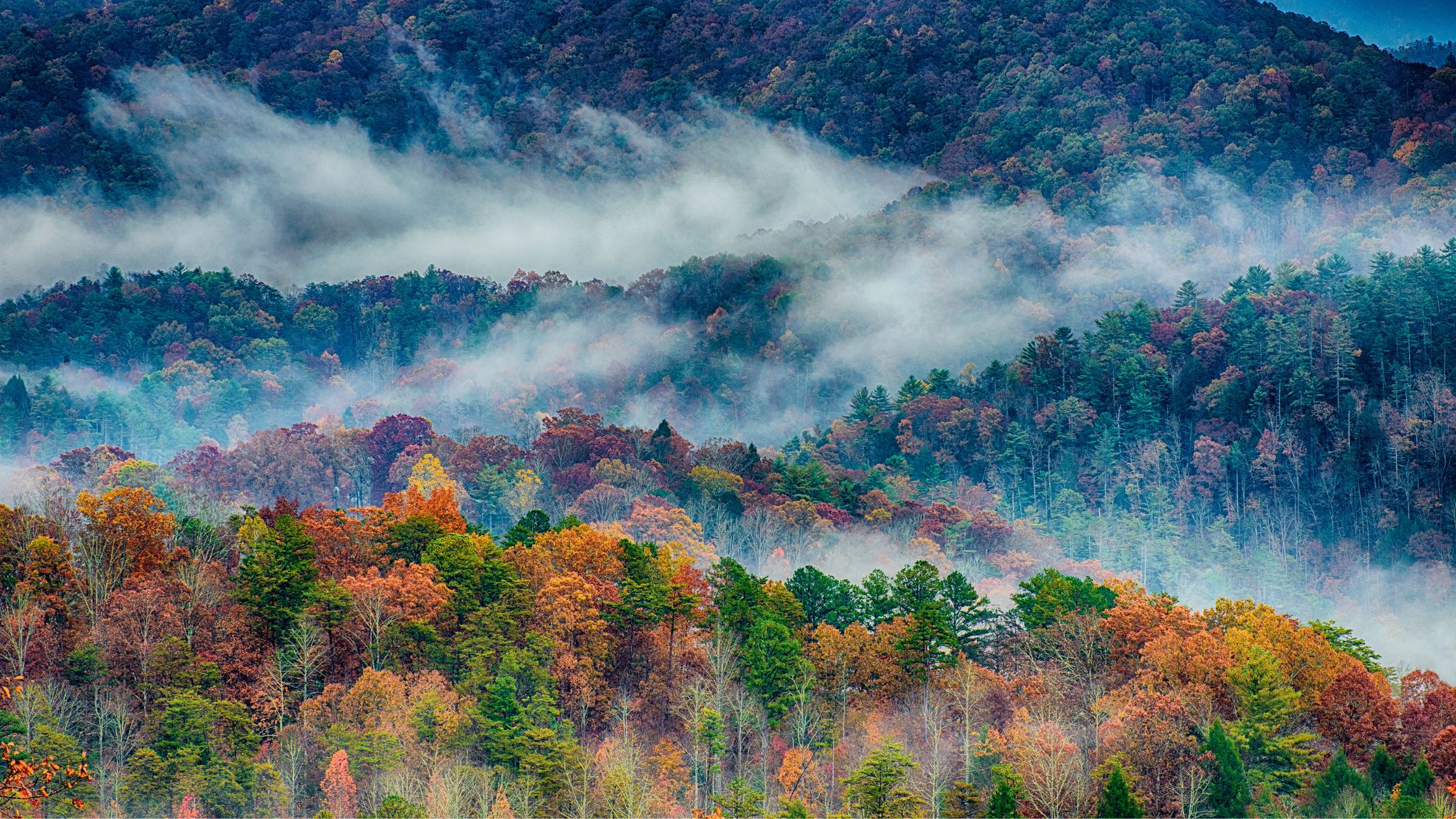 Great Smoky Mountains National Park