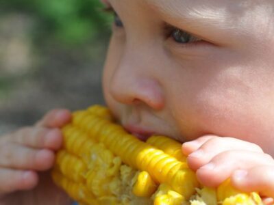 Little boy eating a cob of corn