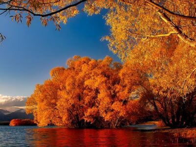 Michigan colors in the fall by the lake.