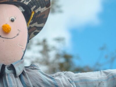 Scarecrow in a field with a blue sky background.