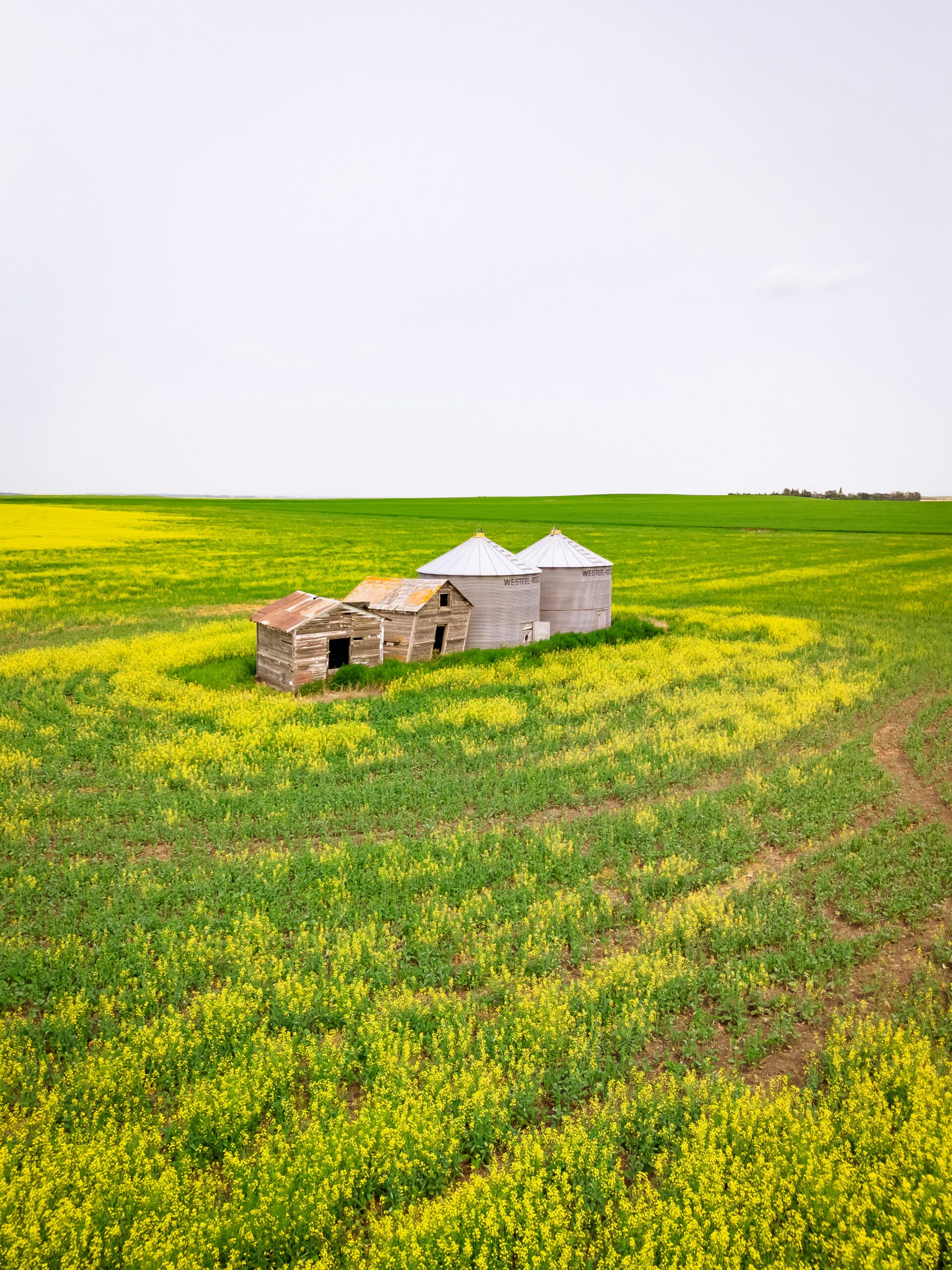 saskatchewan4 scaled