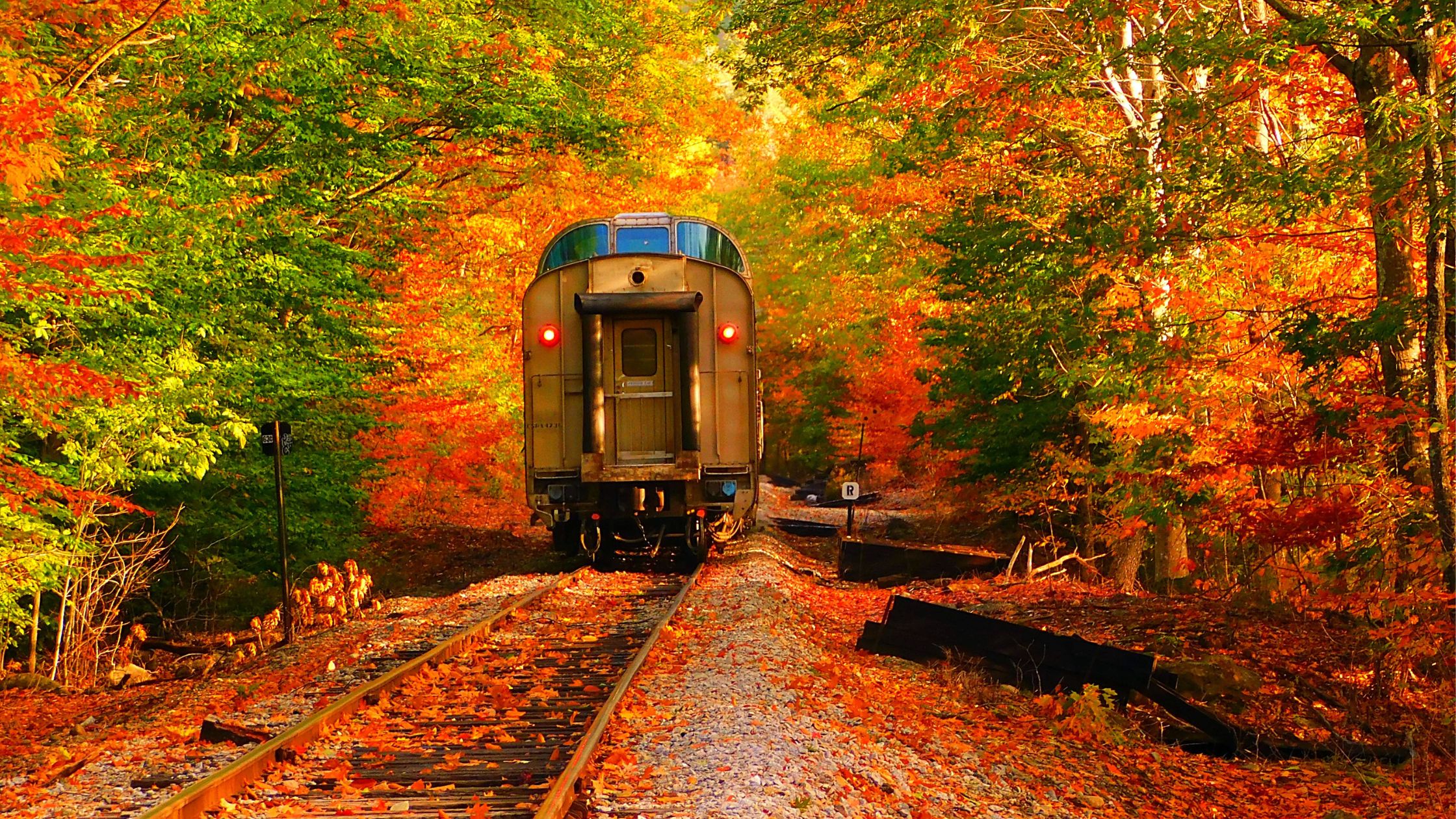 Fall Train Rides