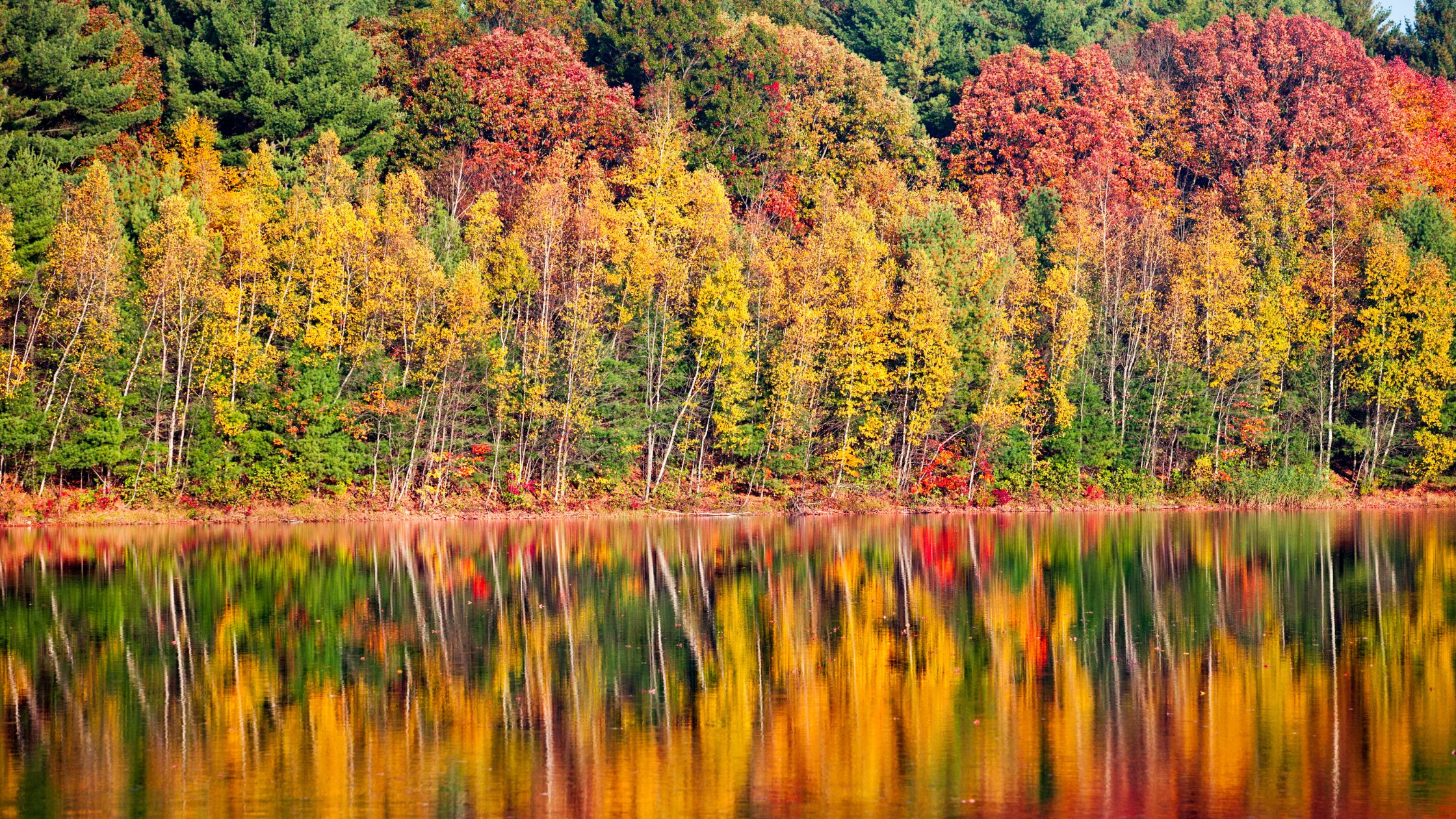 New England Fall