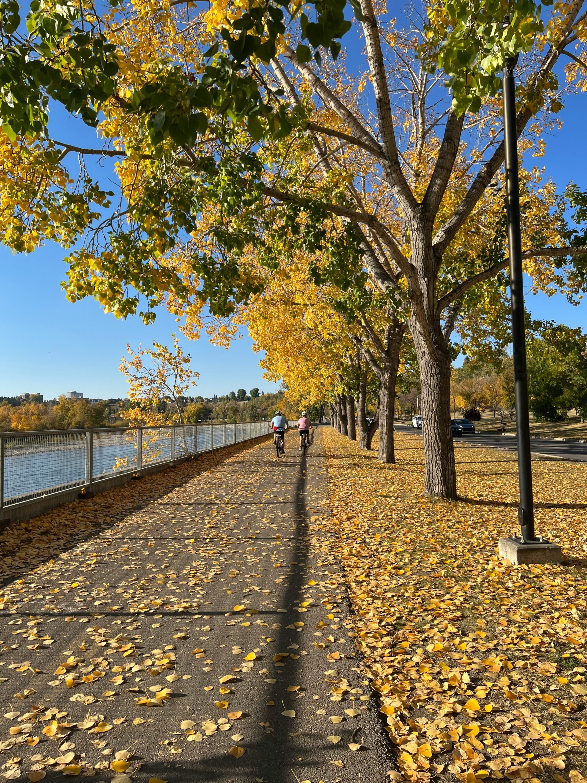 calgary scaled