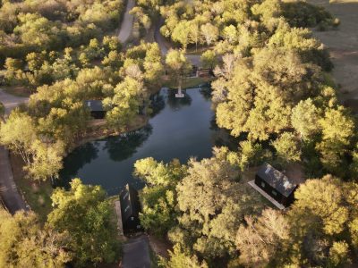 Forest Edge at Live Oak Lake