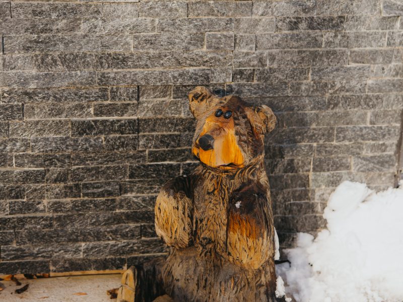 Wooden bear carving