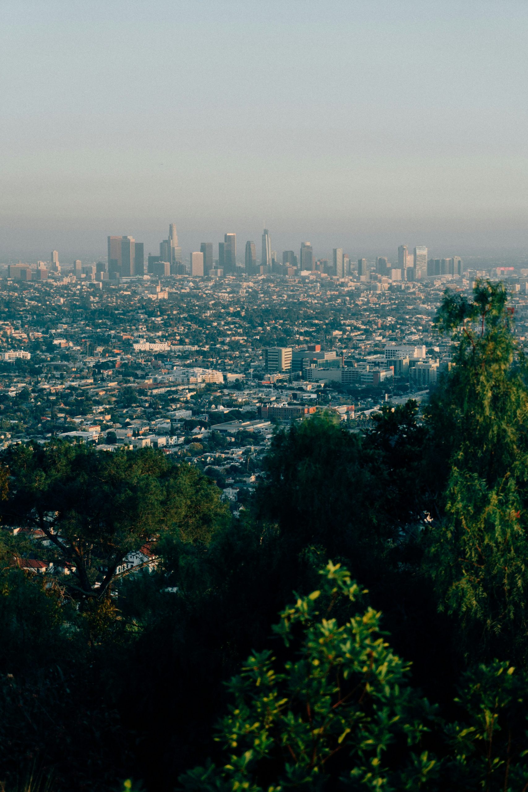 los angeles scaled