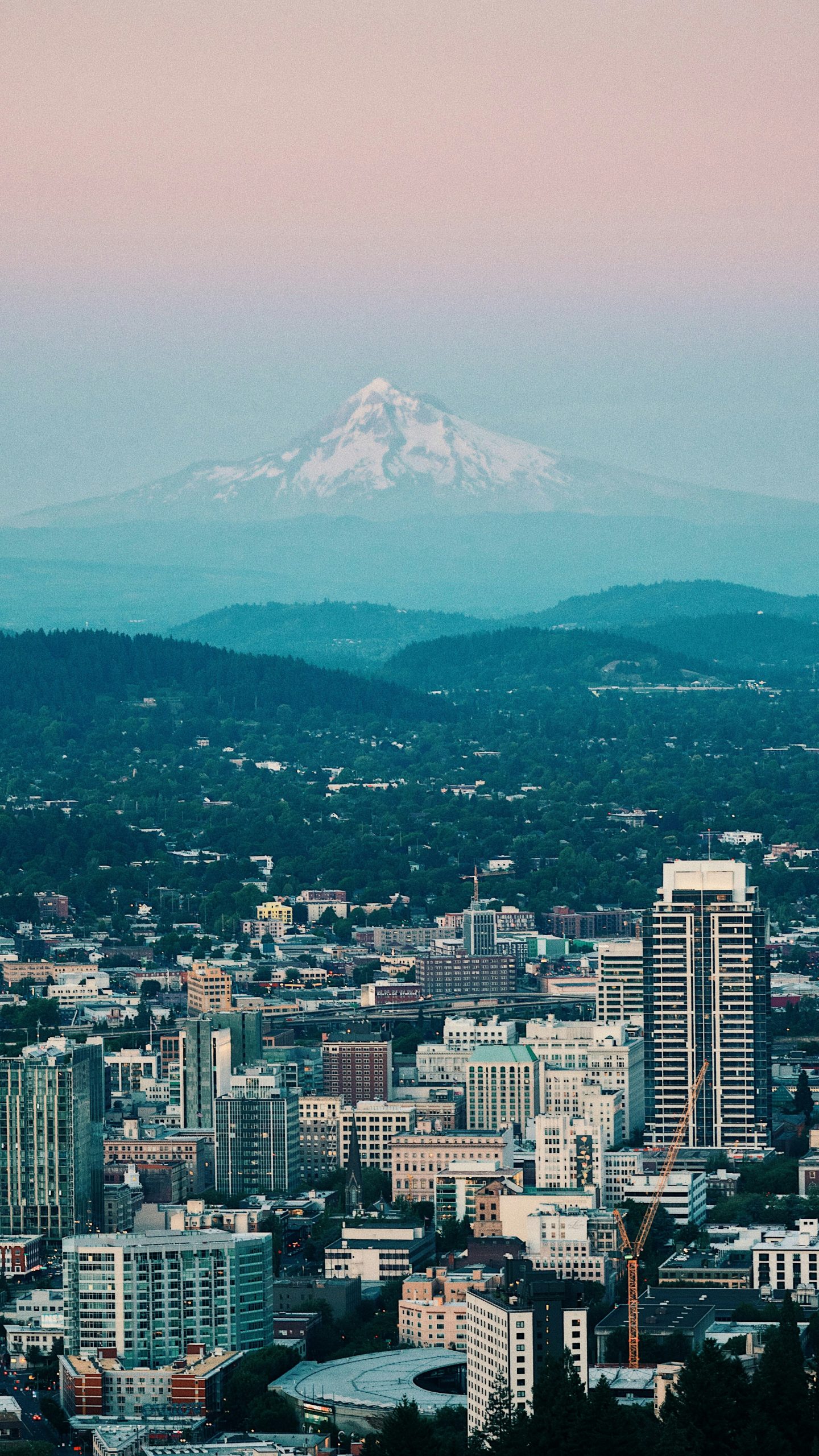 portland scaled