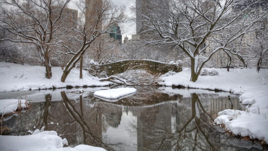 New York Central Park in Winter