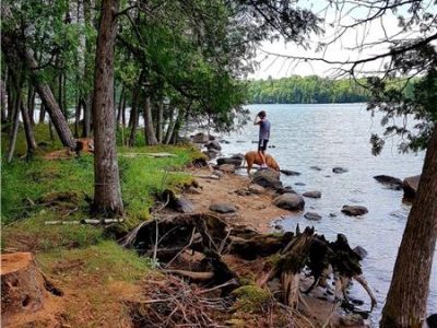 Hammond Haven, Luxury Log and Timber Cottage on Jack Lake