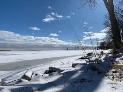 Nature's Nest Lakeview