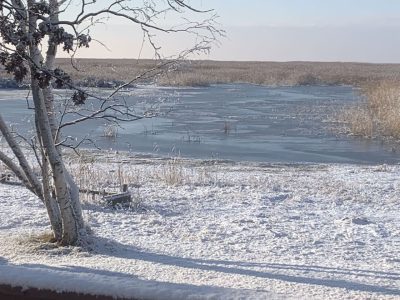 Lakeview & Wildlife in Au Gres