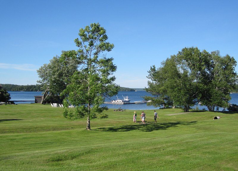 CedarRailOfMuskokaBirchJuly