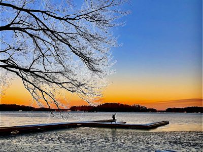 Muskoka Birch on Lake Rosseau 4 Season Cottage Rental