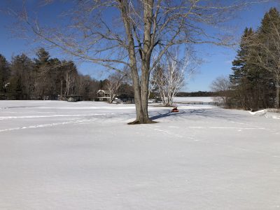 Muskoka Birch on Lake Rosseau 4 Season Cottage Rental