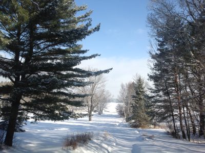 Muskoka Birch on Lake Rosseau 4 Season Cottage Rental