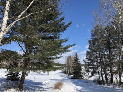 Muskoka Birch on Lake Rosseau 4 Season Cottage Rental