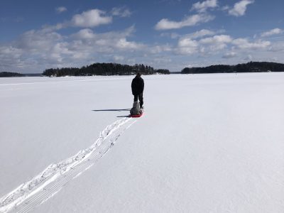 Muskoka Birch on Lake Rosseau 4 Season Cottage Rental