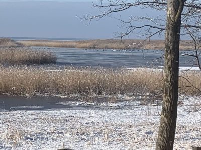 Lakeview & Wildlife in Au Gres